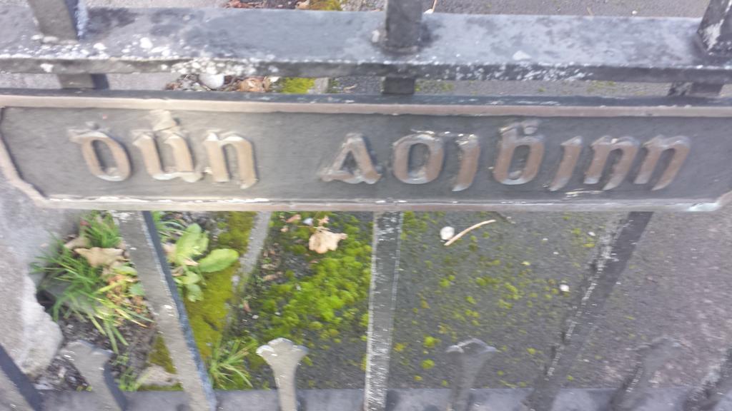 Dun Aoibhinn Guest Accommodation Голуей Екстериор снимка